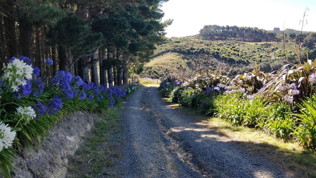 Hilltop Lodge Porirua Buitenkant foto